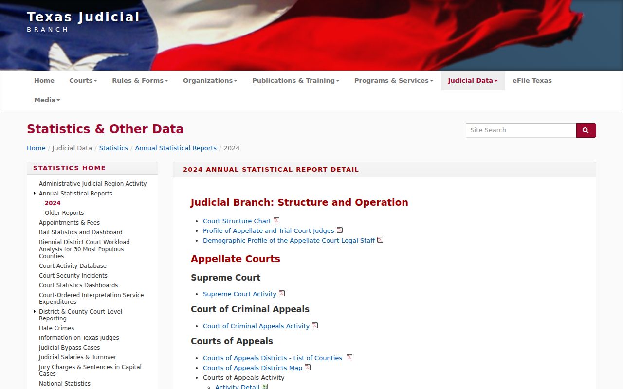 Bee County warrant records reference to Texas court activity report categories